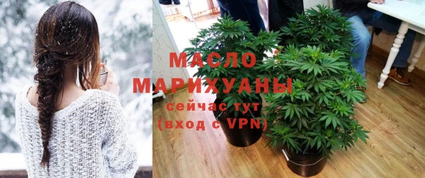 гидра Богданович
