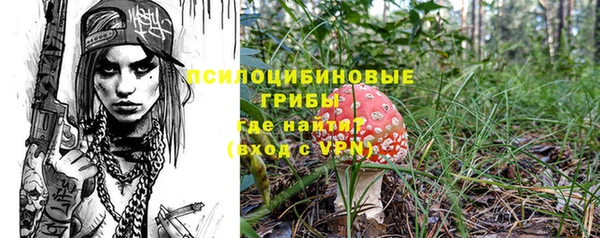 СК Богородицк