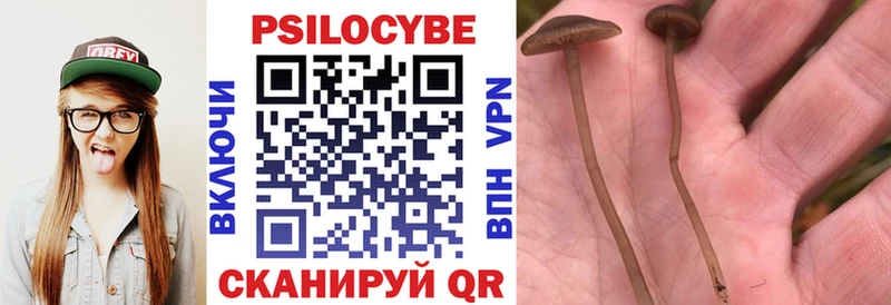 Псилоцибиновые грибы Magic Shrooms Белокуриха
